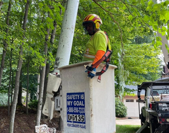 24 7 Emergency Tree Service 1