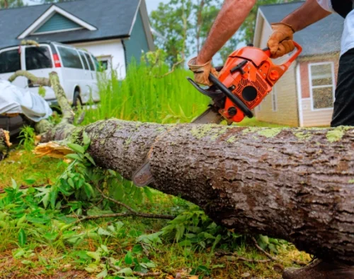 24 7 Emergency Tree Service