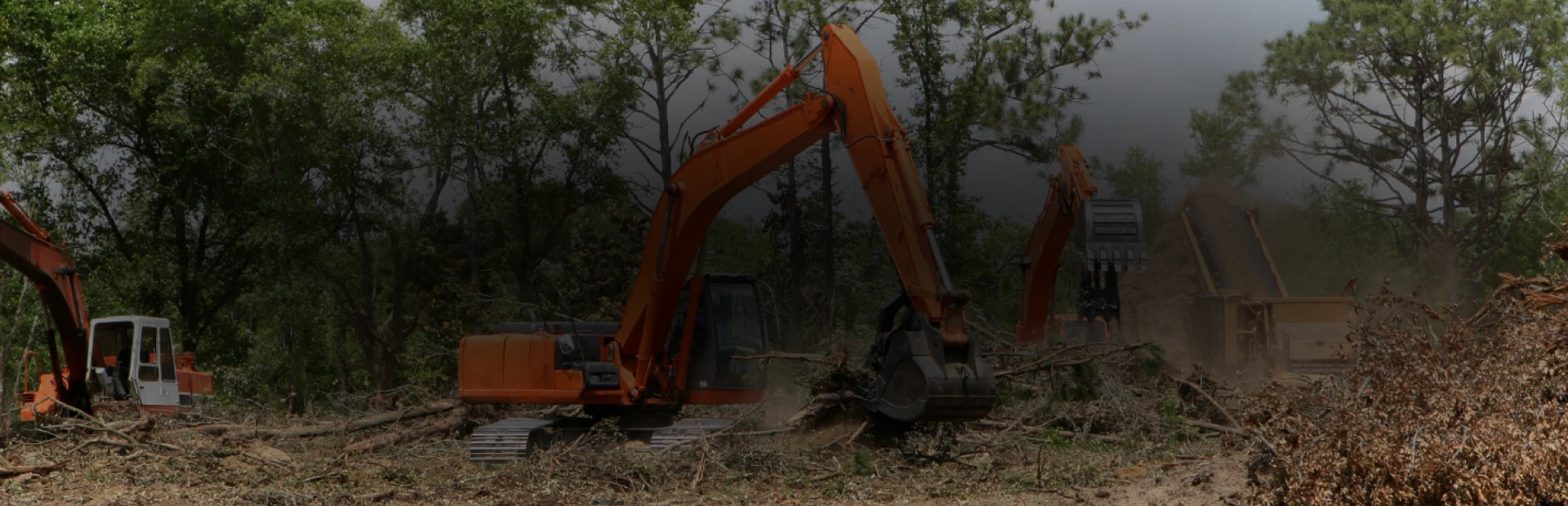 Land Clearing breadcrumb