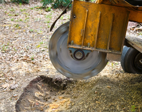 Stump Grinding 2