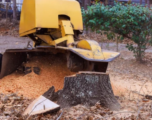 Stump Grinding